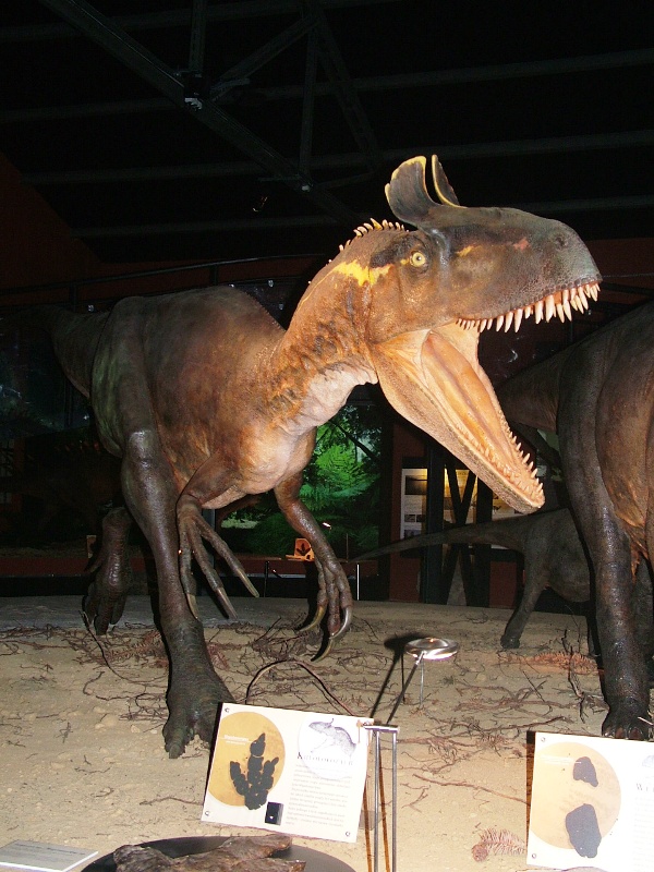 Paleontologia