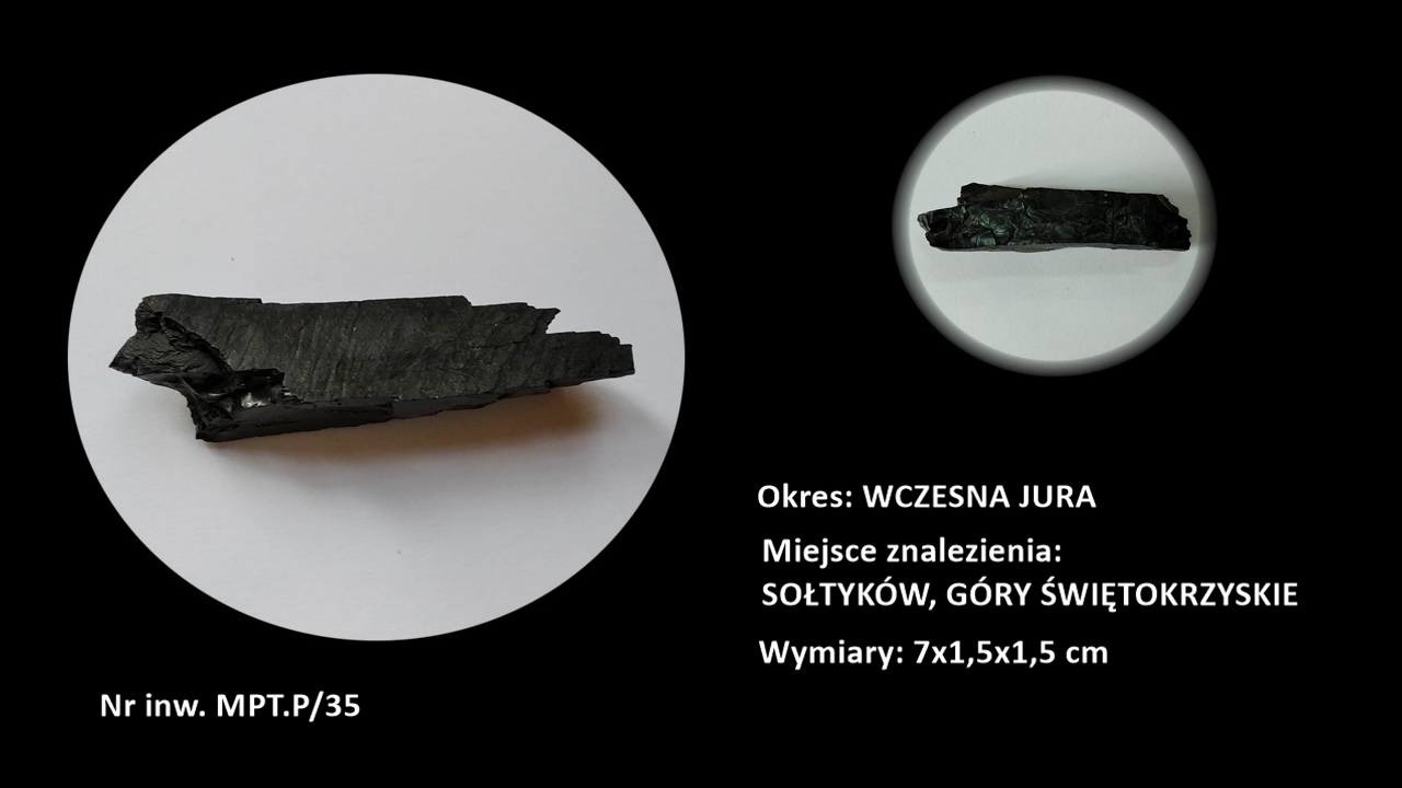 Infografika dotycząca Gagat