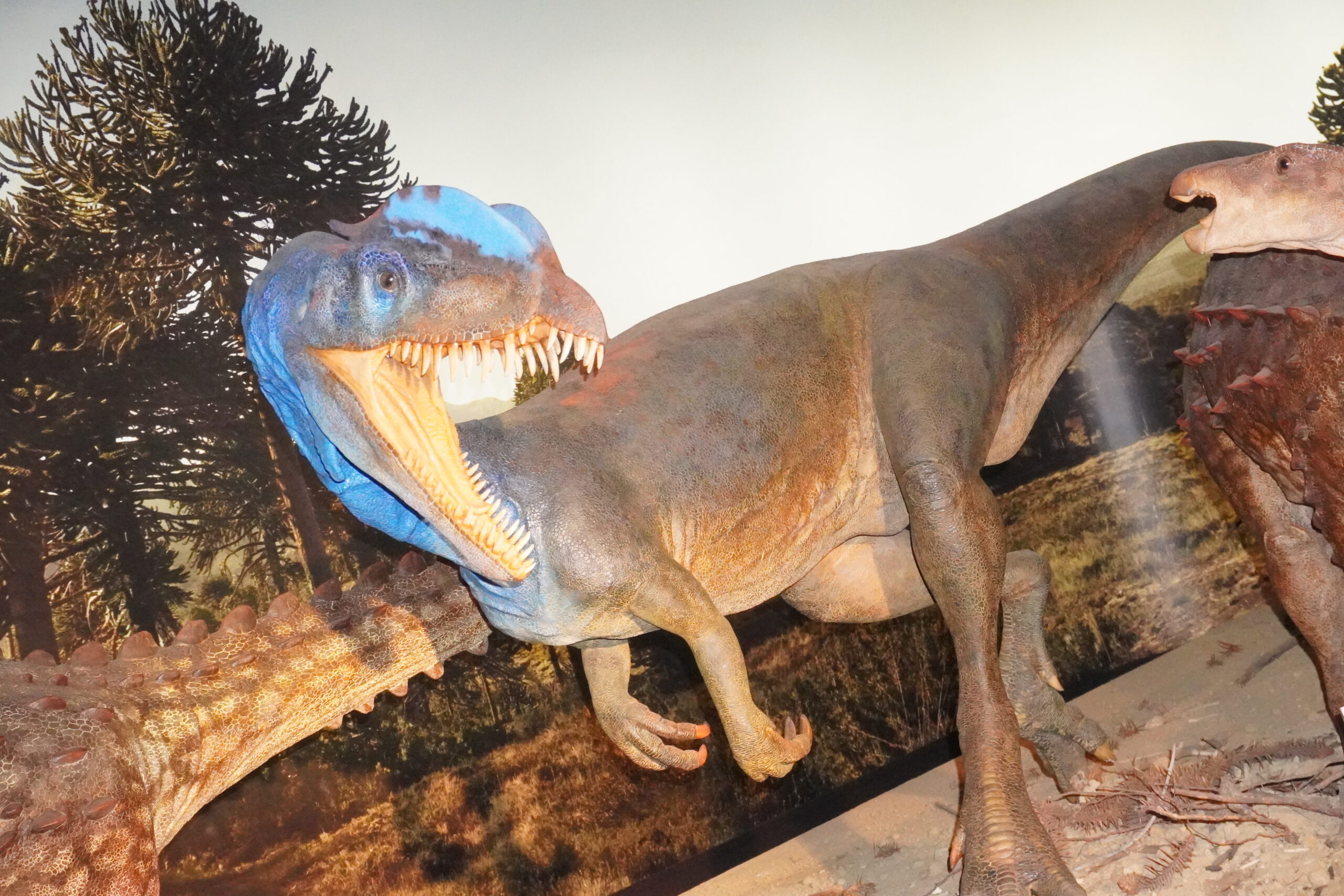 Światowy Dzień Dinozaura 2024